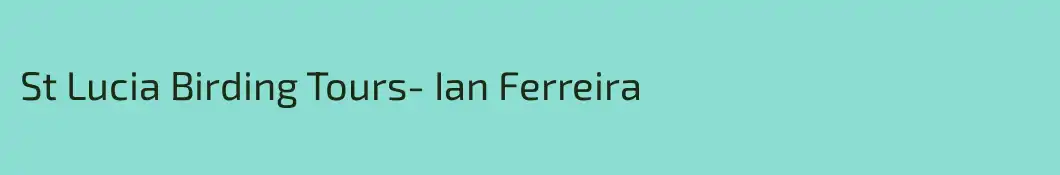 St Lucia Birding Tours- Ian Ferreira